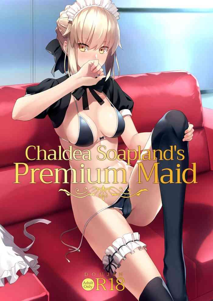 chaldea soap sss kyuu gohoushi maid chaldea soapland x27 s premium maid cover