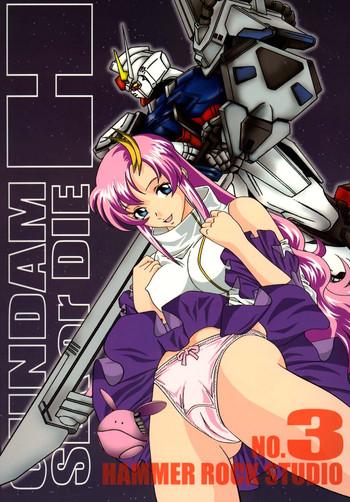 gundam h 3 cover