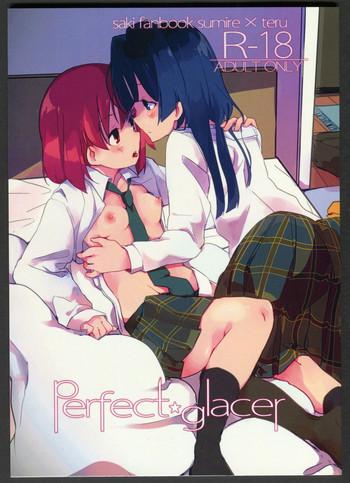 perfect glacer cover 1