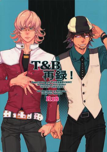 t b sairoku cover