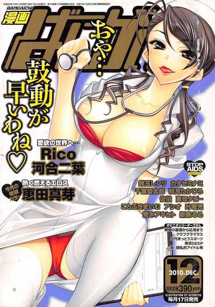 manga bangaichi 2010 12 cover