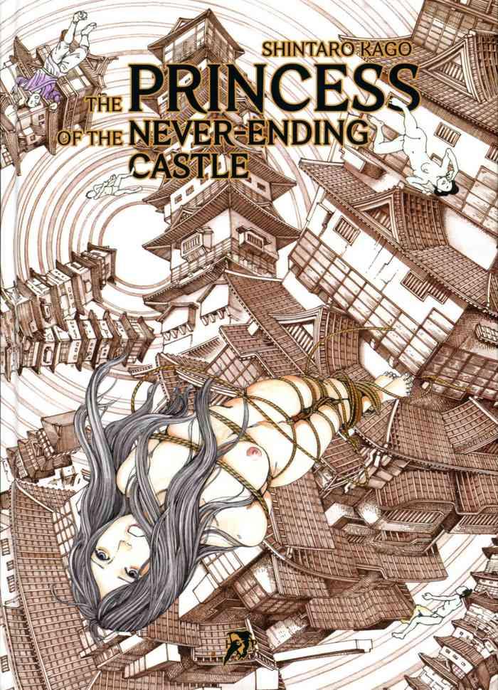 princess of the never ending castle cover