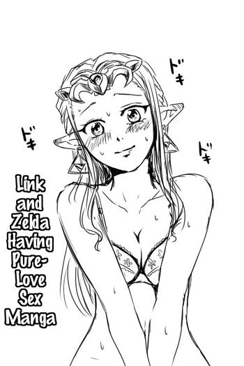 link to zelda ga jun ai ecchi suru manga cover