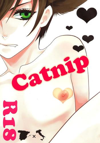 catnip cover