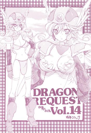 dragon request vol 14 cover