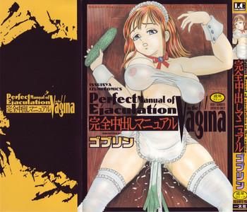 kanzen nakadashi manyuaru perfect manual of ejaculation in the vagina cover