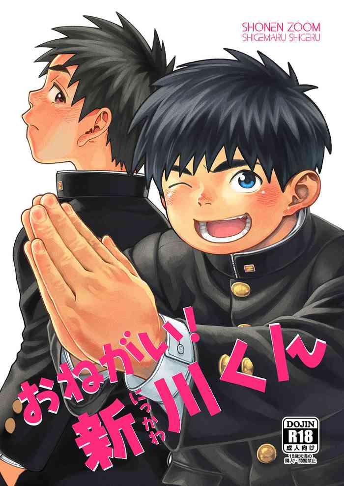 onegai nikkawa kun please nikkawa cover