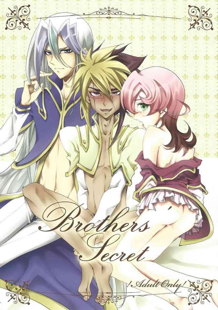 brother x27 s secret cover