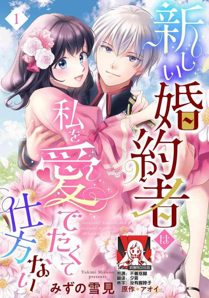 atarash fianse wa watashi o medetakute shikatanai 1 3 cover