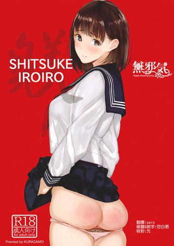 shitsuke iroiro cover