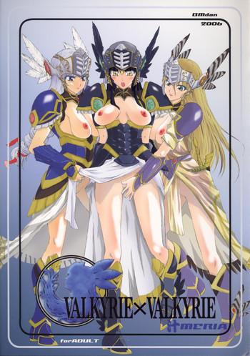 valkyrie x valkyrie shiru meria cover