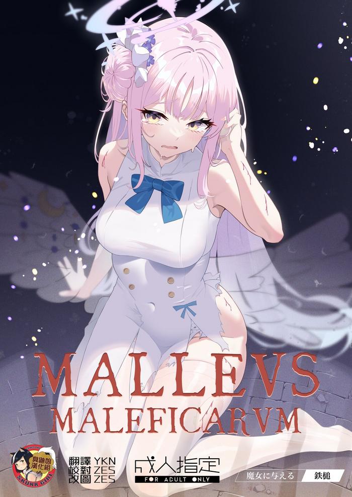 malleus maleficarum cover