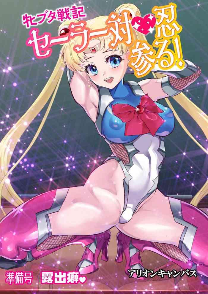 arion canvas mesu buta senki sailor taimanin mairu junbigou roshutsuheki bishoujo senshi sailor moon cover