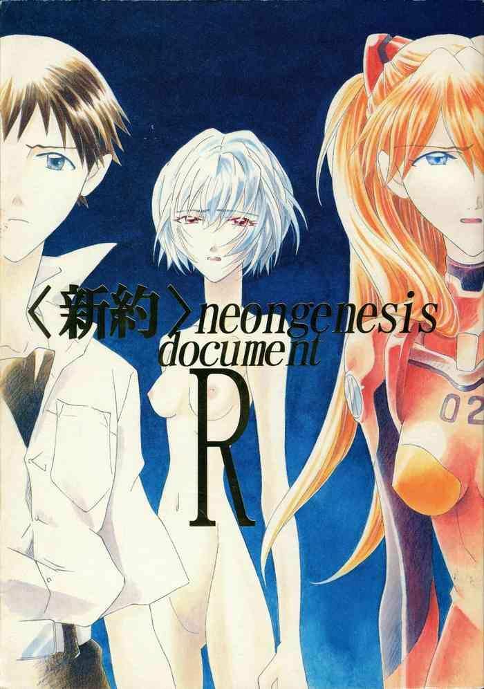 lt shinyaku gt neon genesis document r cover