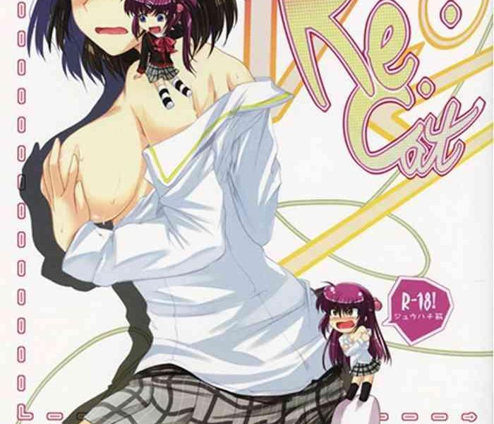 re cat cover