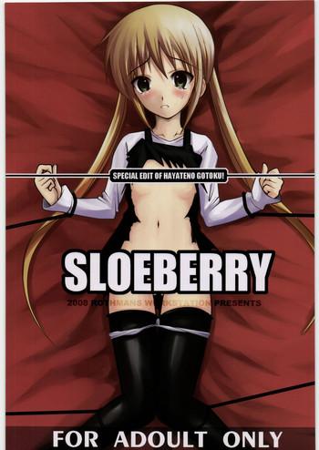 sloeberry cover